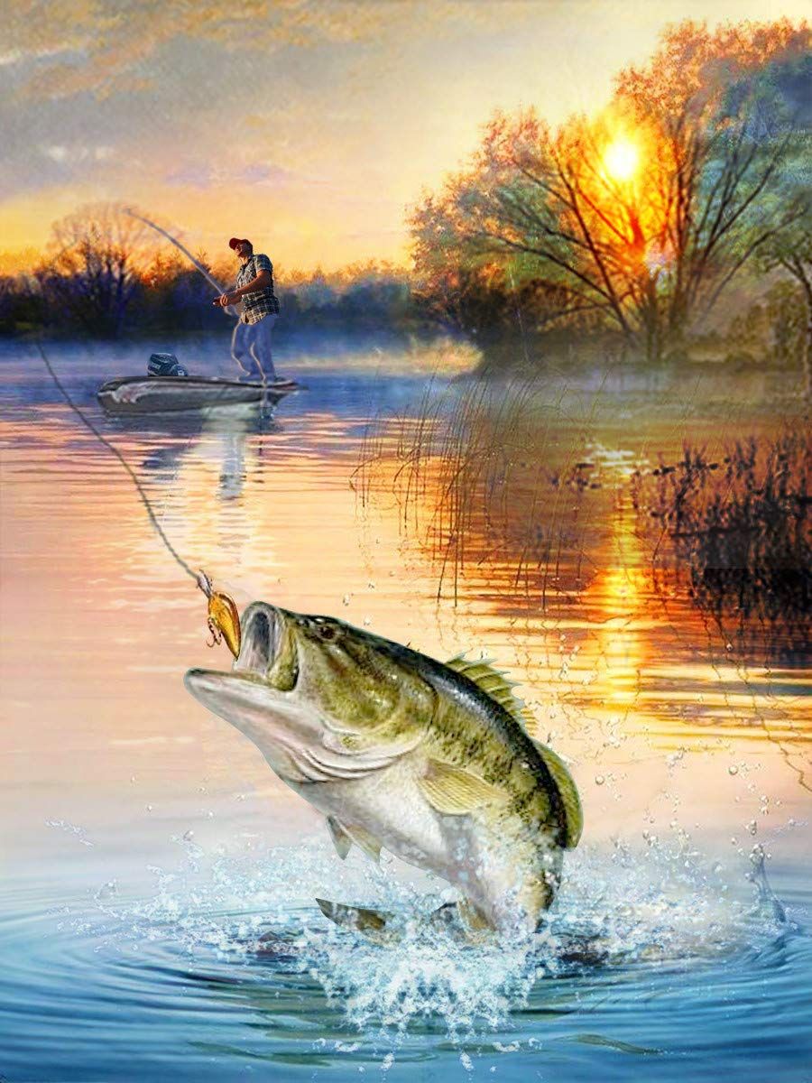 Bass Fishing Image with Sunset